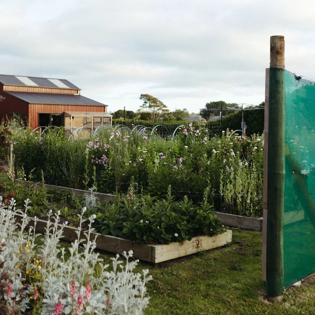 Spring Workshop - 16th September, 2023