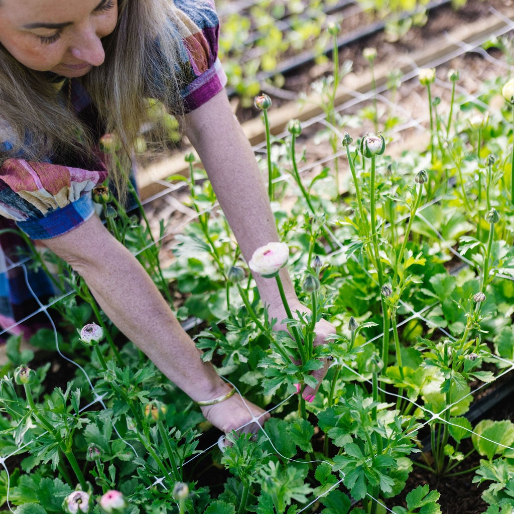 Spring Workshop - 16th September, 2023