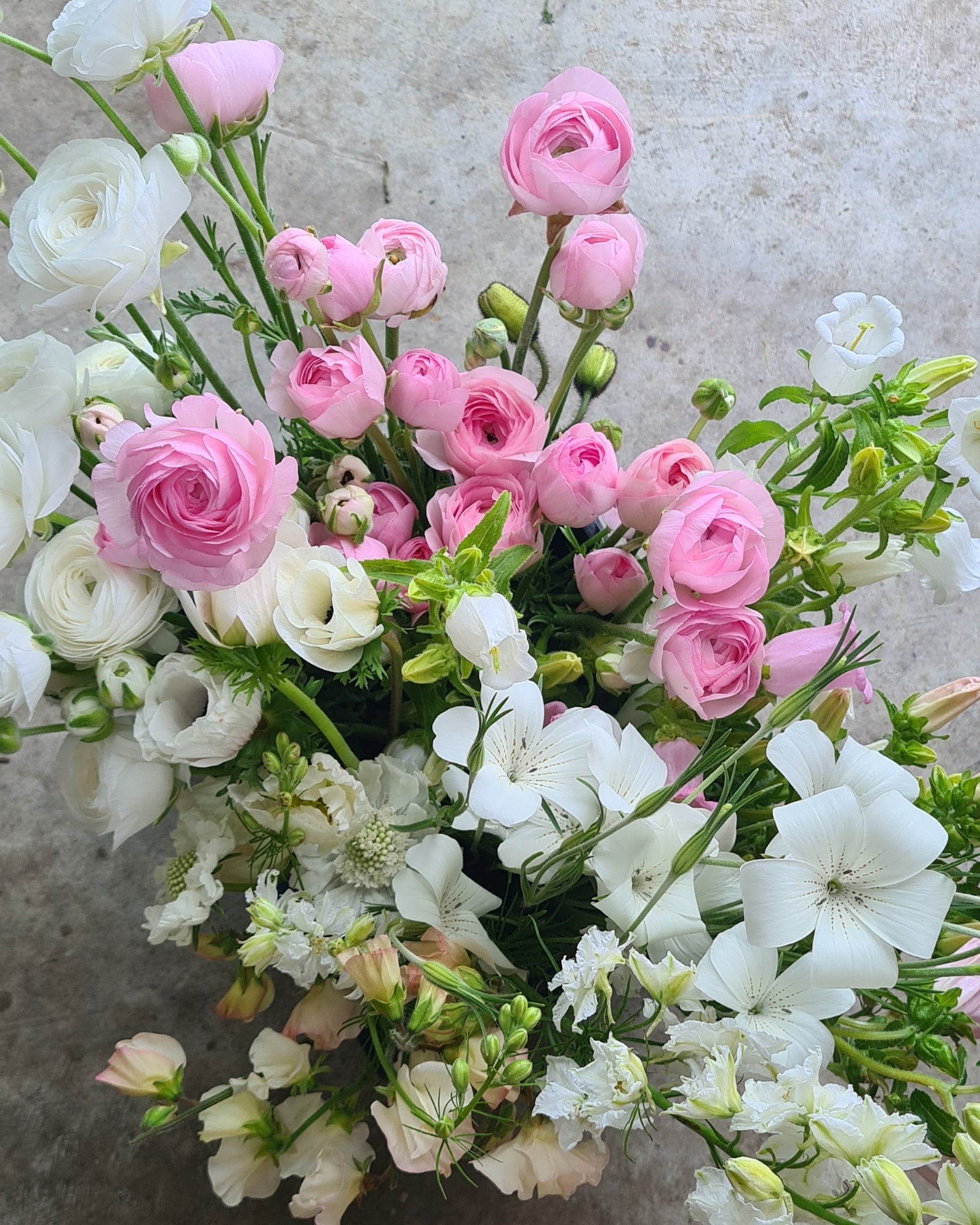 Spring Workshop - 16th September, 2023