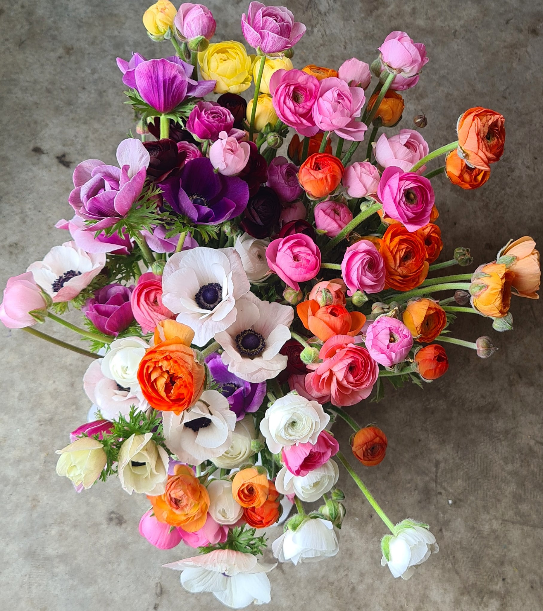 Spring Workshop - 16th September, 2023