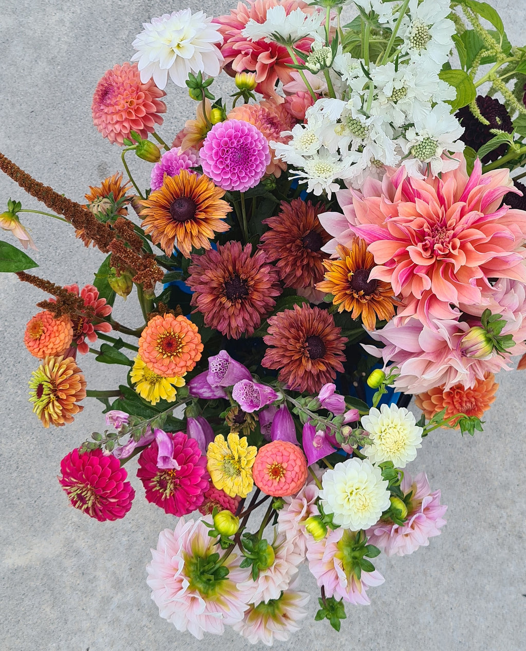 Hand Picked Blooms