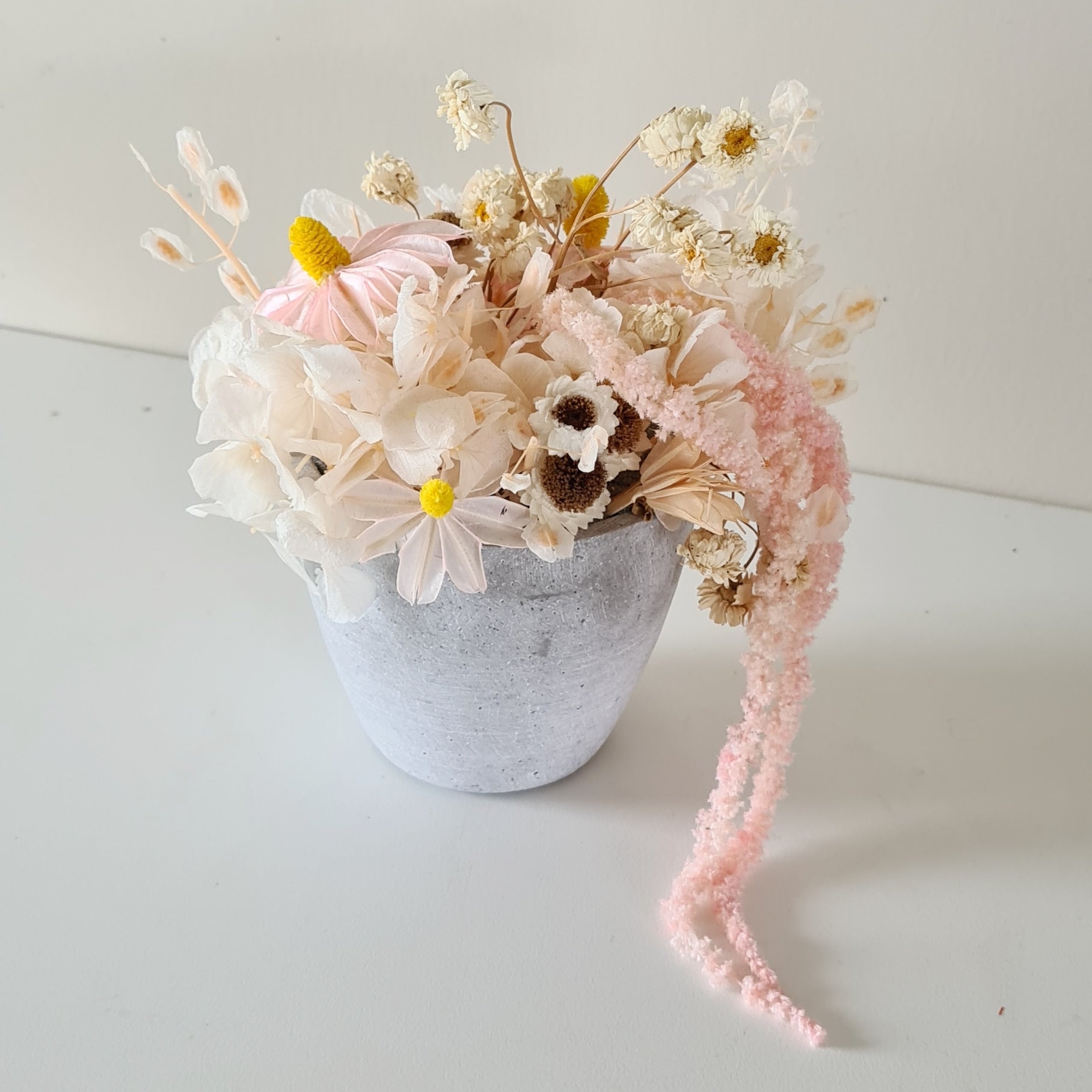 Mini Dried Blooms